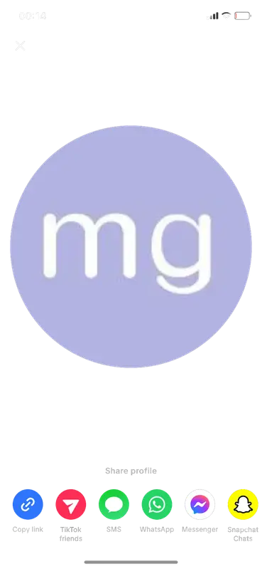 A social media profile screen for the Madden Girl campaign concept